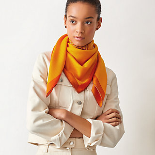 Encadre Blason scarf 90 | Hermès USA